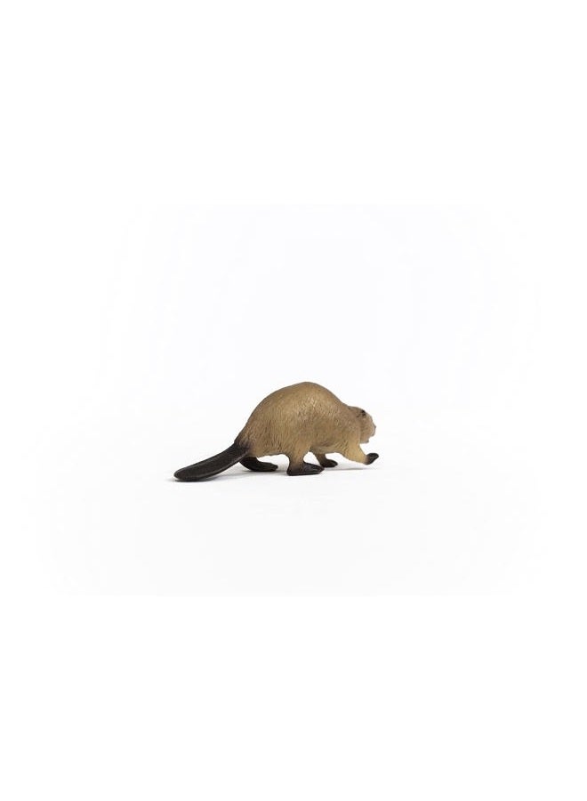 Schleich Beaver - Realistic Animal Figurine, Perfect for Kids and Collectors, Ideal Gift for Ages 3+ - Image 4