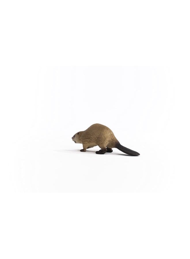 Schleich Beaver - Realistic Animal Figurine, Perfect for Kids and Collectors, Ideal Gift for Ages 3+ - Image 3