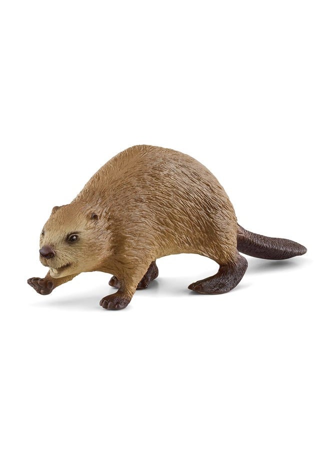 Schleich Beaver - Realistic Animal Figurine, Perfect for Kids and Collectors, Ideal Gift for Ages 3+ - Image 1