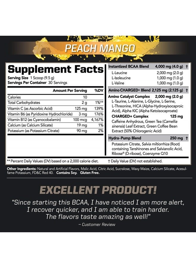 PMD Sports BCAA Charged Delicious Amino Acid Drink Mix for Performance and Recovery - Increase Muscle Function for Workout and Daily Energy - Peach Mango (30 Servings) - Image 2