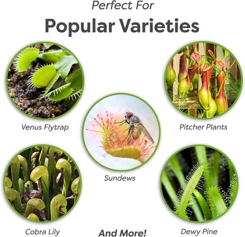 PERFECT PLANTS تربة النباتات آكلة اللحوم | مزيج عضوي ممتاز | استخدم مع مصائد فينوس، ونباتات الجرة، أو نباتات آكلة اللحوم الأخرى (4 كوارت)  - Image 2