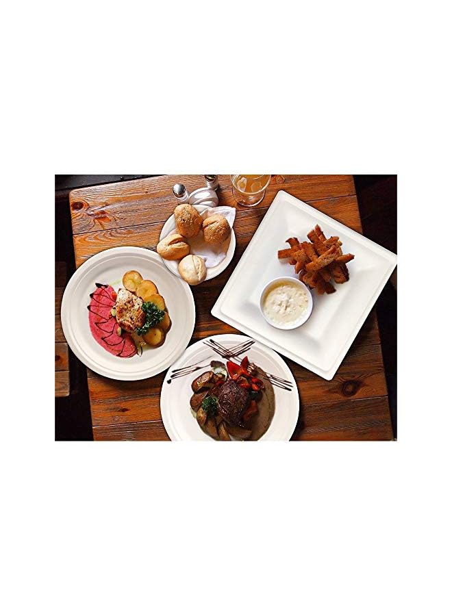 SNH Packing Friendly Bagasse Biodegradable Plate 10 Inch Disposable, Made From 100% Sugarcane Plates, Natural Alternative To Paper Plate, Everyday Tableware, Heavy Duty Microwaveable - 50 Pieces. - Image 4
