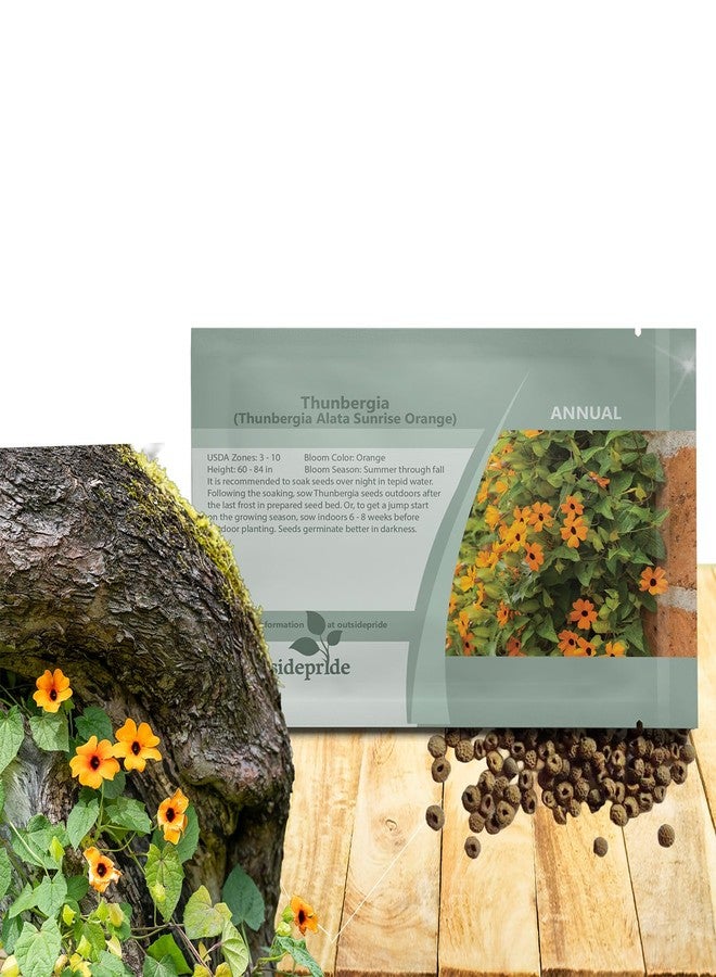 Outsidepride Sunrise Orange Thunbergia Black Eyed Susan Seeds - 100 Pcs Annual, Climbing Vine Flower Seeds for Planting Orange Blooms for Low Maintenance Gardens, Containers, Trellis & Fences - Image 1