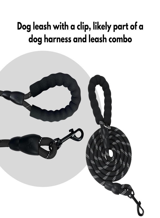 سترة صدرية عاكسة فاخرة للكلاب - سترة ناعمة ومبطنة تسمح بمرور الهواء ولا تسبب الاختناق للحيوانات الأليفة مع مقبض وإبزيم فاخر - أحزمة قابلة للتعديل - مقود طويل بتصميم أنيق مجاني، أسود، صغير (4-13 كجم) - Image 4