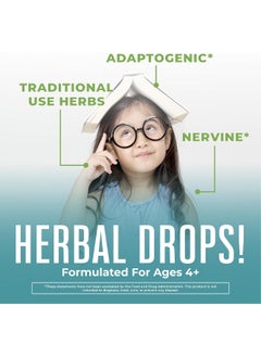 MaryRuth Organics Kids Focus Support Supplement by MaryRuth's, Natural Brain Support Vitamin, Adrenal Complex with Astragalus Root, Gingko Leaf & Wood Betony Herb, 1 Month Supply, 1 Fl Oz  - Image 2