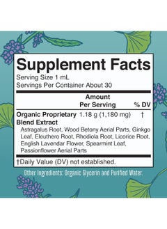 MaryRuth Organics Kids Focus Support Supplement by MaryRuth's, Natural Brain Support Vitamin, Adrenal Complex with Astragalus Root, Gingko Leaf & Wood Betony Herb, 1 Month Supply, 1 Fl Oz  - Image 5