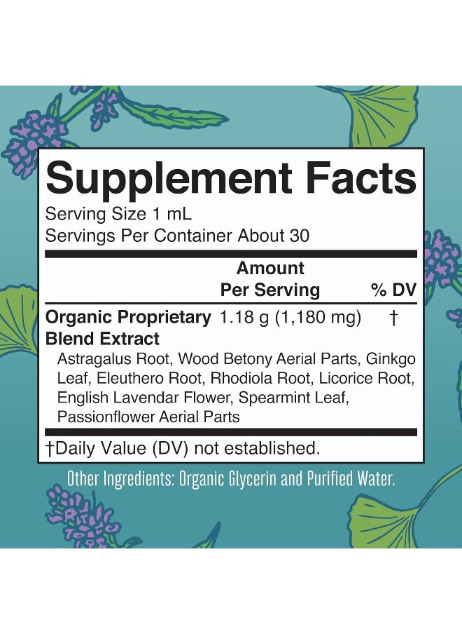 Kids Focus Support Supplement by MaryRuth's, Natural Brain Support Vitamin, Adrenal Complex with Astragalus Root, Gingko Leaf & Wood Betony Herb, 1 Month Supply, 1 Fl Oz - pzsku/ZA6325E0EB445FEE6A384Z/45/_/1741000319/7a91dd3c-5d1b-4f38-a301-4cd8f64c660a