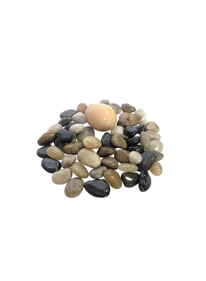 Natural Aquarium Pebbles Gravel Stones For Fish Tank 2-3Cm - Image 1
