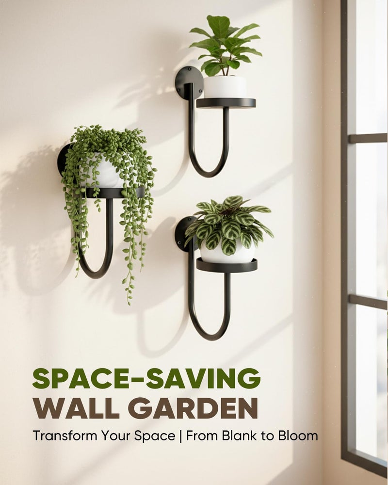 chufa Wall Plant Holder â€“ Hanging Planters for Indoor, Window Planter Shelves & Hanger, Indoor Wall Planters, Modern Plant Decor, Black (3 Pack) - Image 4