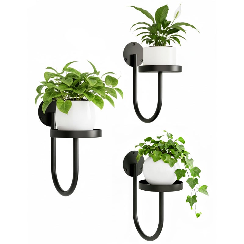 chufa Wall Plant Holder â€“ Hanging Planters for Indoor, Window Planter Shelves & Hanger, Indoor Wall Planters, Modern Plant Decor, Black (3 Pack) - Image 1