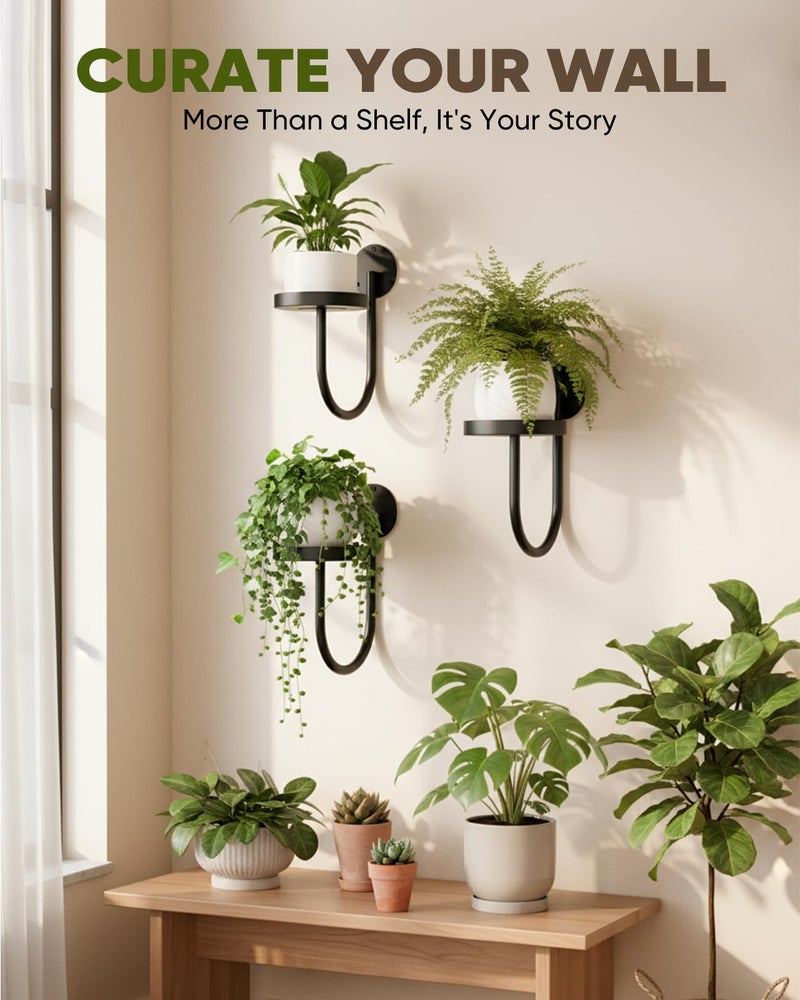 chufa Wall Plant Holder â€“ Hanging Planters for Indoor, Window Planter Shelves & Hanger, Indoor Wall Planters, Modern Plant Decor, Black (3 Pack) - Image 2