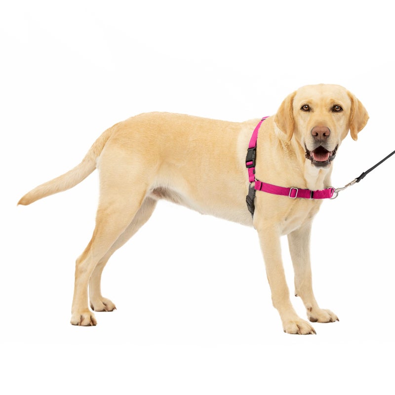 PetSafe Easy Walk Harness for Dogs - Pull-Free Walks - Patented Martingale Loop Design - Front Chest Leash Attachment - Comfort Straps - Breathable Harness Design - Large, Raspberry/Gray - Image 1