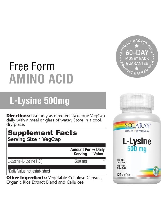 Solaray SOLARAY L-Lysine 500mg | Amino Acid | Healthy Cognitive, Immune System & GI Function, Bones, Joints & Skin Support | 120 VegCaps  - Image 3