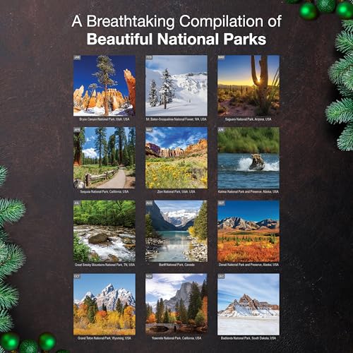 MICASA PRESS America the Beautiful 2026 Wall Calendar 12 Month | 12" x 24" Open | Thick & Sturdy Paper | Giftable | Nature Travel Calendar 2026 - Image 3