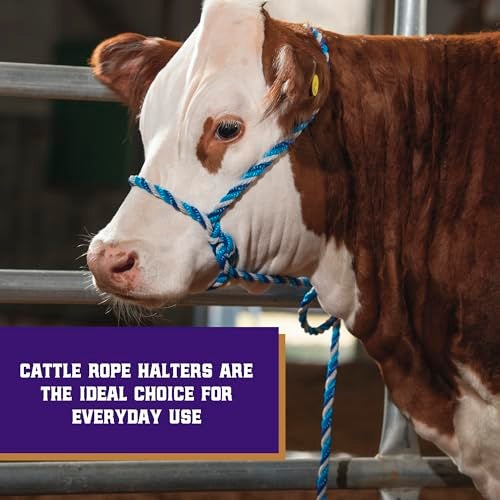 Weaver Livestock Braided Poly Rope Cattle Halter Adjustable Cow Calf Halter Livestock Handling Equipment for Showing Dark BlueHurricane BlueGray - Image 3