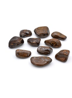 Murty99 Genuine Drum Natural Bronzite Rock Piece 1st quality  - Image 1