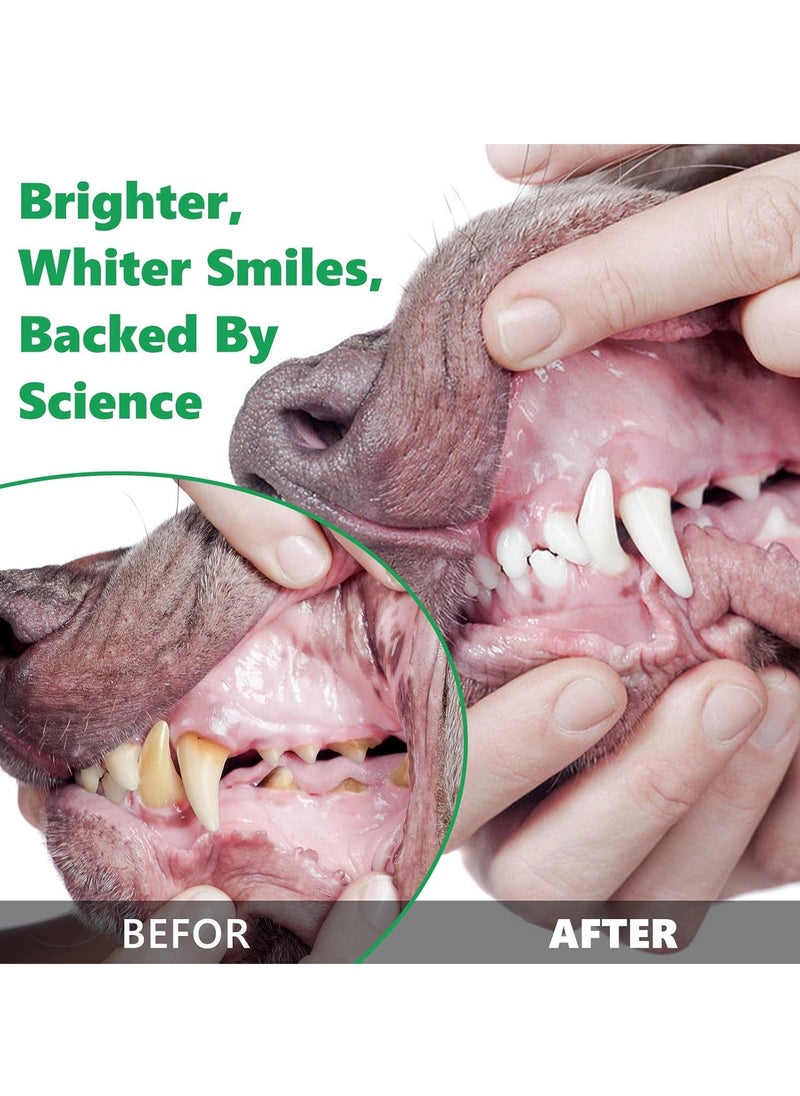 PET - Dental Cleaning Powder For all Dogs Reduces Plaque Prevents Tartar Improves Breath Net Wt 2.82 OZ 80 gPack of 1Pet Dental Cleaning Powder - Image 1