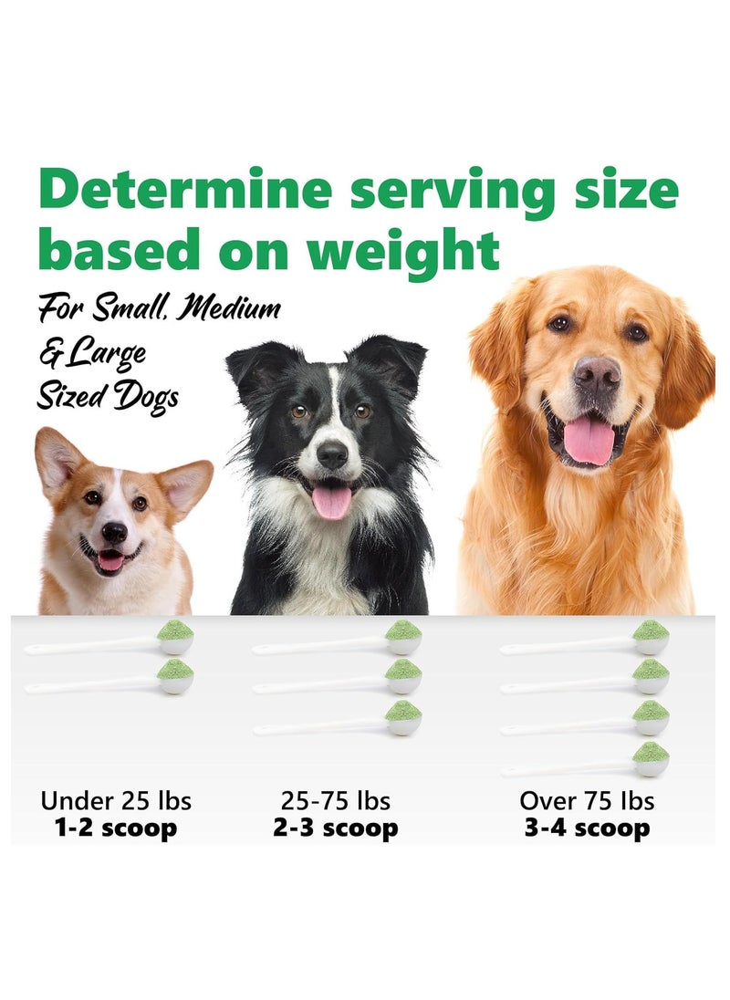 PET - Dental Cleaning Powder For all Dogs Reduces Plaque Prevents Tartar Improves Breath Net Wt 2.82 OZ 80 gPack of 1Pet Dental Cleaning Powder - Image 1