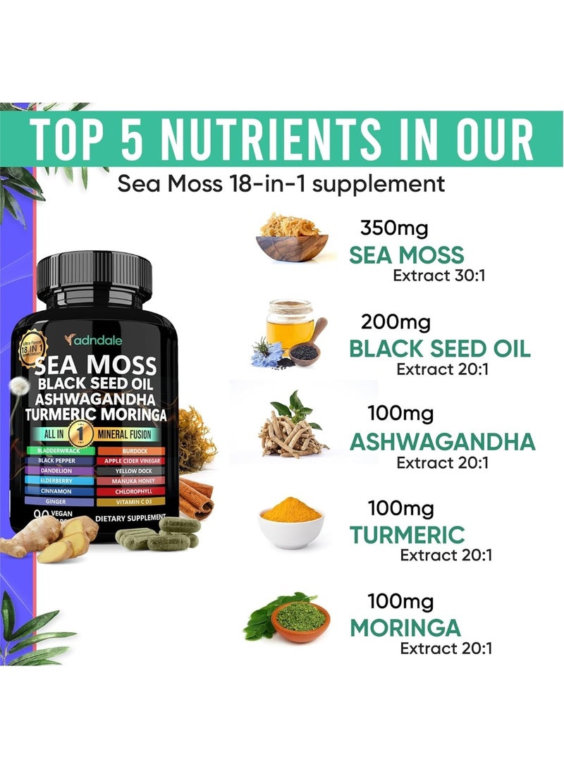 متجر أدندال كبسولات زيت حبة البركة السوداء من الطحالب البحرية، الأشواغاندا، الزنجبيل. كبسولات طحالب بحرية مع زيت حبة البركة السوداء، الأشواغاندا، الكركم، المورينجا، عشبة المثاني، جذر الأرقطيون، عسل المانوكا، والقرفة. 18 في 1 - Image 2