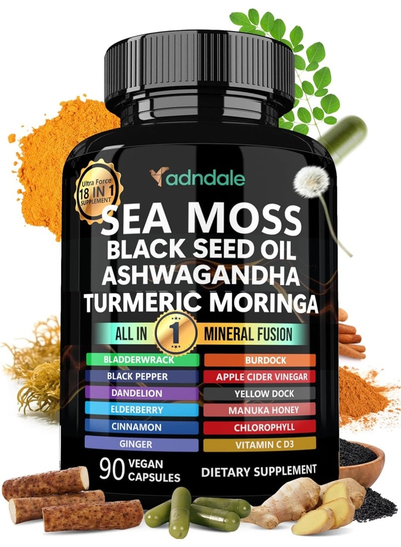 متجر أدندال كبسولات زيت حبة البركة السوداء من الطحالب البحرية، الأشواغاندا، الزنجبيل. كبسولات طحالب بحرية مع زيت حبة البركة السوداء، الأشواغاندا، الكركم، المورينجا، عشبة المثاني، جذر الأرقطيون، عسل المانوكا، والقرفة. 18 في 1 - Image 1