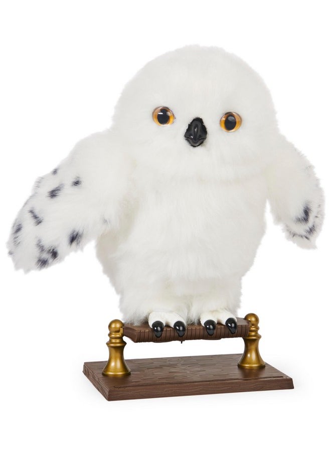 WIZARDING WORLD - Wizarding World Harry Potter, Enchanting Hedwig Interactive Owl with Over 15 Sounds and Movements and Hogwarts Envelope, Kids Toys for Ages 5 and up - Image 1