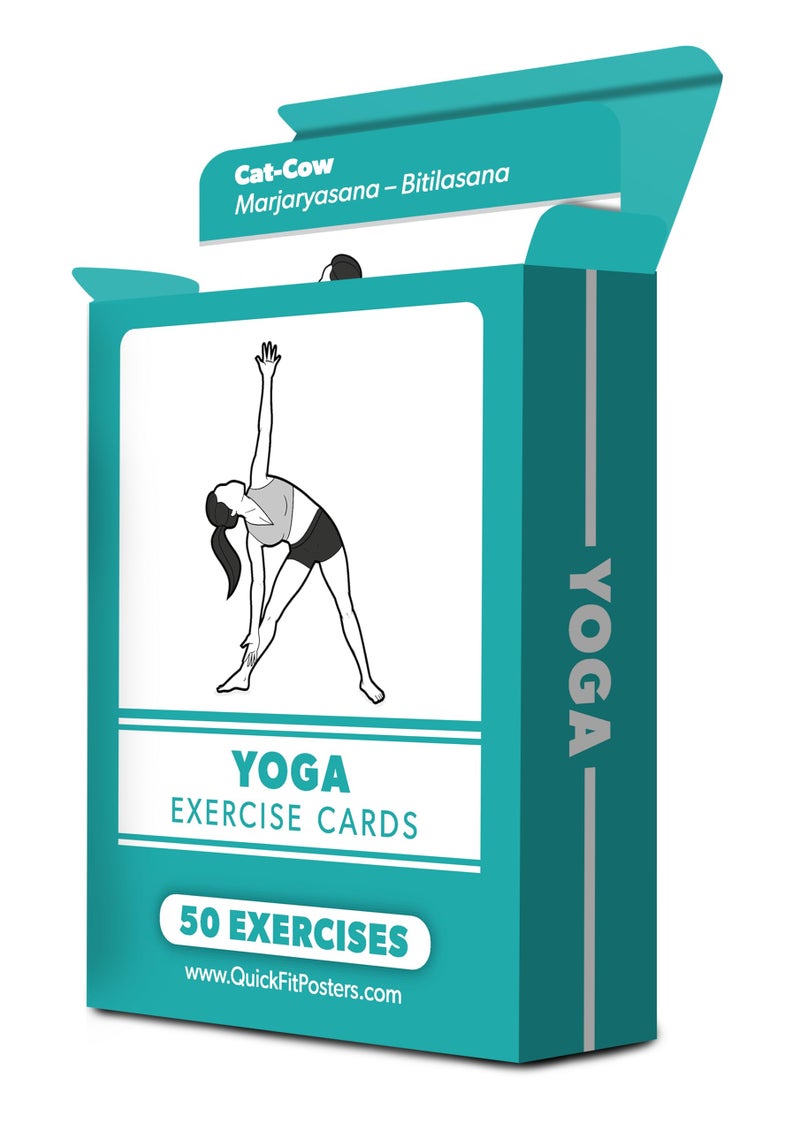 Palace Learning Yoga Pose Exercise Cards - Yoga Positions and Workout Fitness Cards with Over 50 Poses - 2.5" x 3.5" - Image 4
