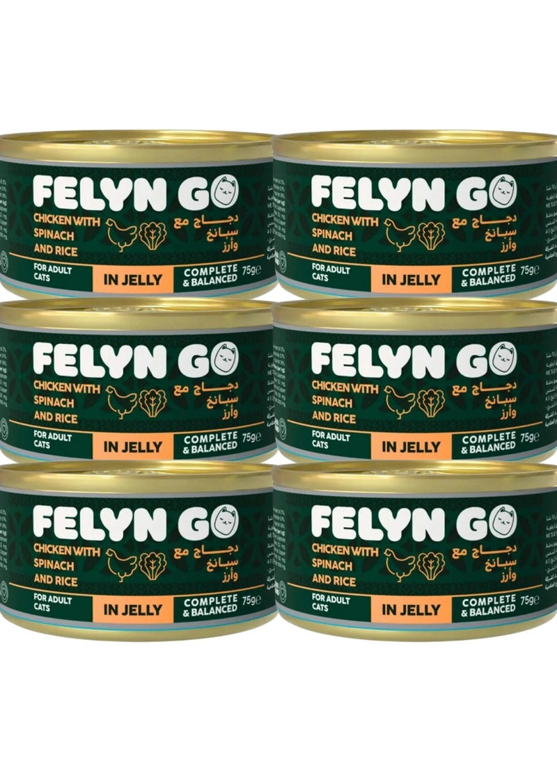 Felyn GO Cat Wet Food Chicken With Spinach And Rice In Jelly For Adult Cats- 6x75g - Grain-Free Cat Food - Image 1