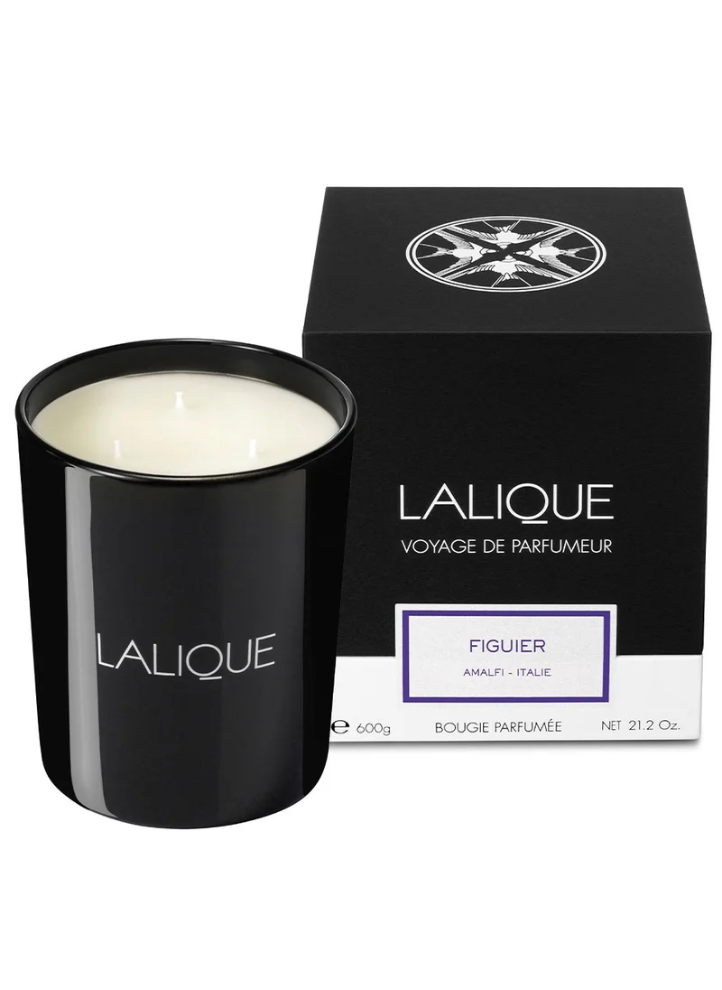 LALIQUE Lalique Candle 600 g Figuier