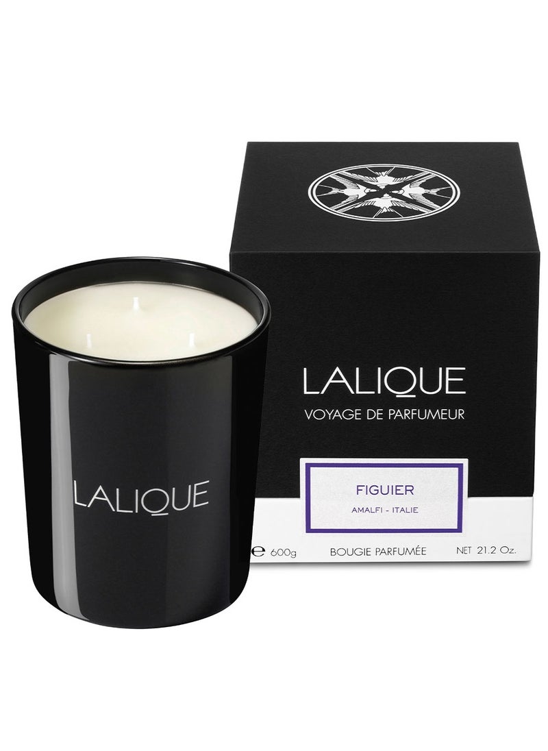 LALIQUE - Lalique Candle 600 g Figuier - Image 1