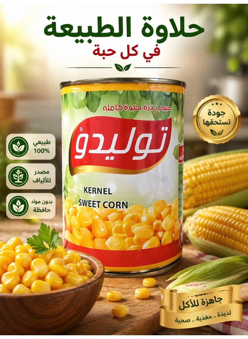 Tolido Toledo Whole Kernel Sweet Corn - 400g Canned Corn - Image 2