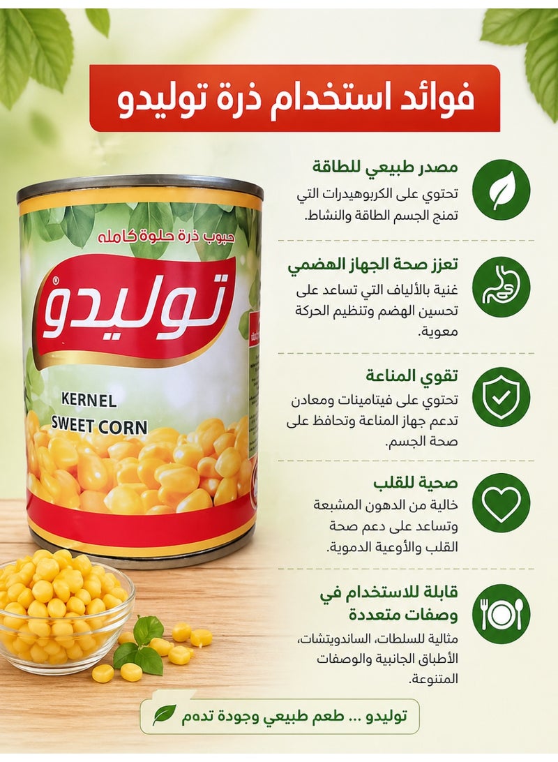 Tolido Toledo Whole Kernel Sweet Corn - 400g Canned Corn - Image 3