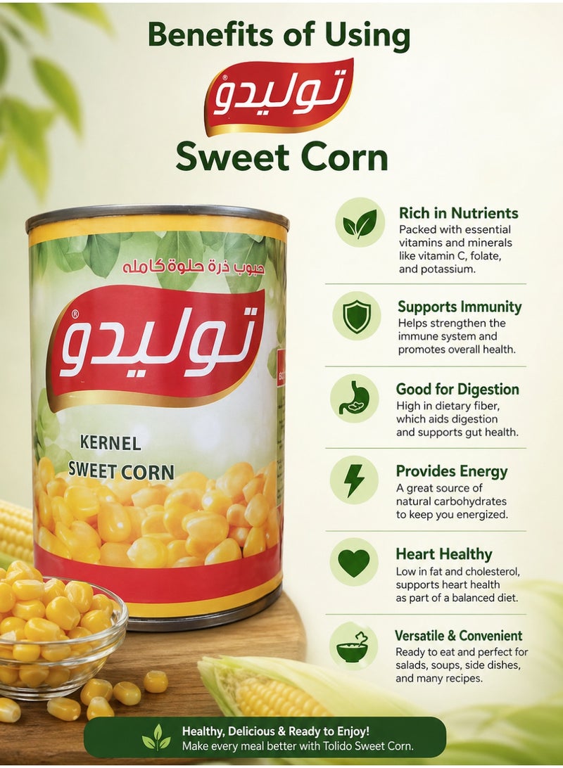 Tolido Toledo Whole Kernel Sweet Corn - 400g Canned Corn - Image 4