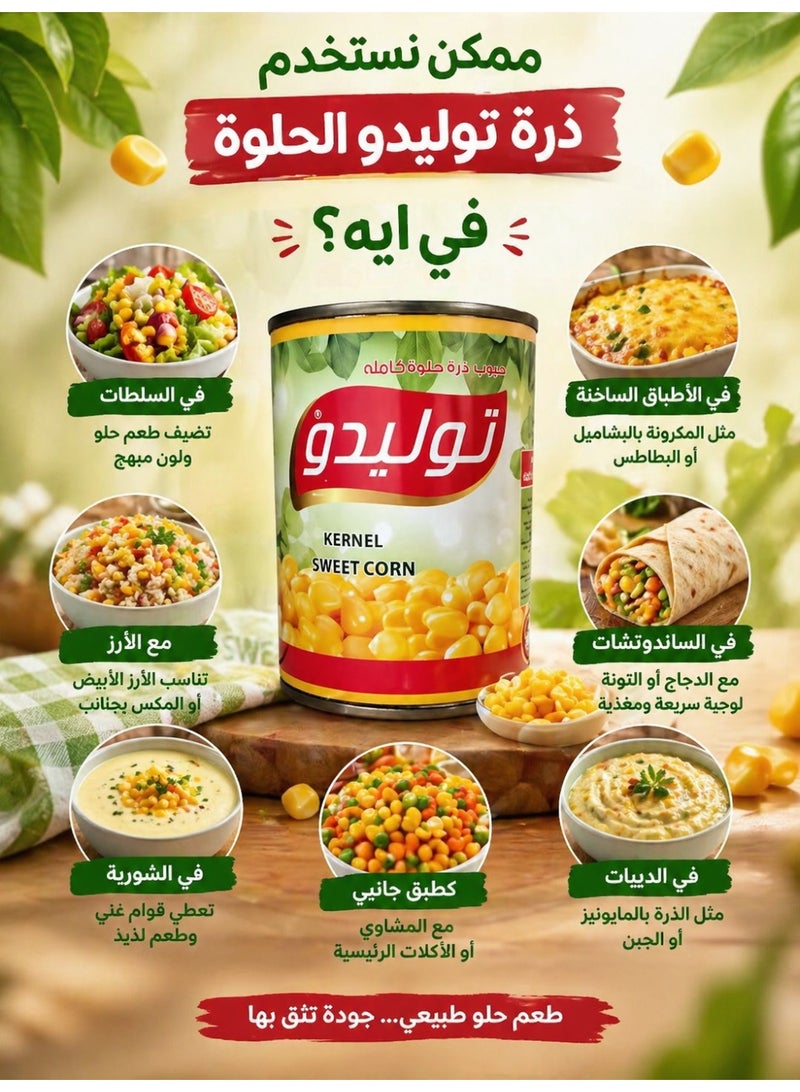 Tolido Toledo Whole Kernel Sweet Corn - 400g Canned Corn - Image 5