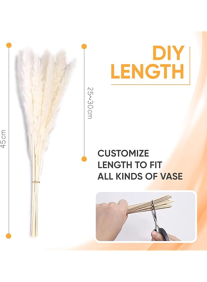erorex 30 Pcs Faux Pampas Grass Large Artificial Pampas Grass Decor Tall Floor Vase Filler Dried Flowers For Flower Arrangements Wedding Home Party Decor White  - Image 4