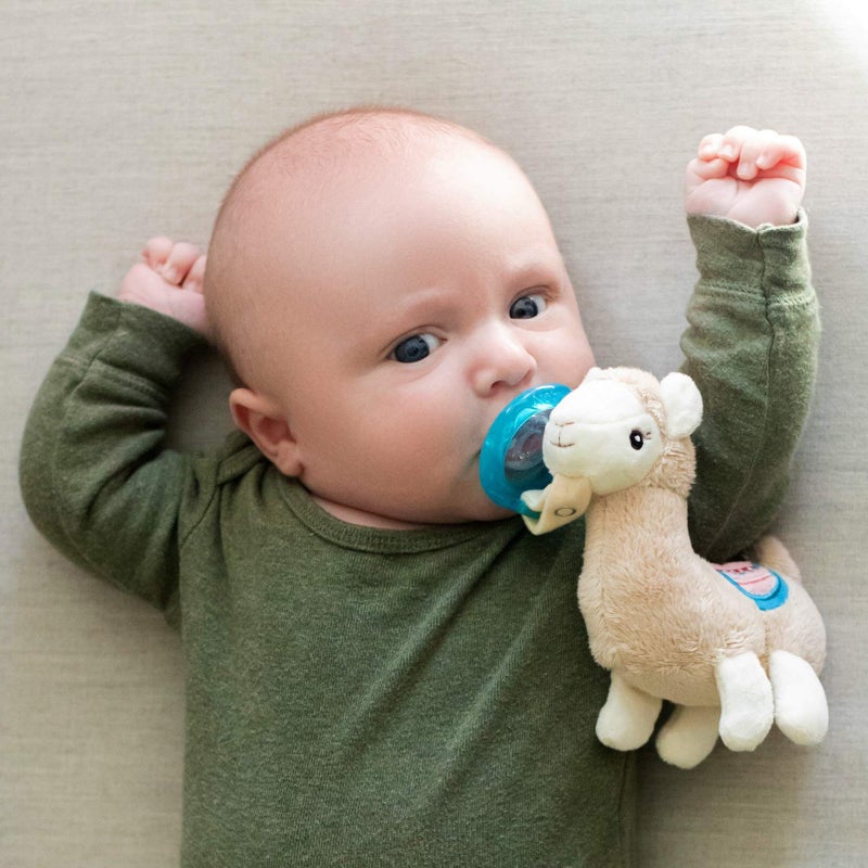 Nuby Soft Plush Pacifinder with Detachable Silicone Pacifier: 0-6 Months, Llama, Natural Cherry Shape, Multi, one Size - Image 1
