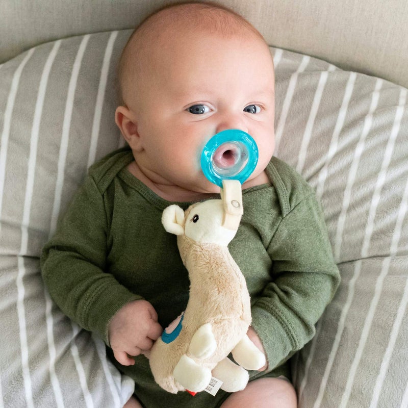 Nuby Soft Plush Pacifinder with Detachable Silicone Pacifier: 0-6 Months, Llama, Natural Cherry Shape, Multi, one Size - Image 3