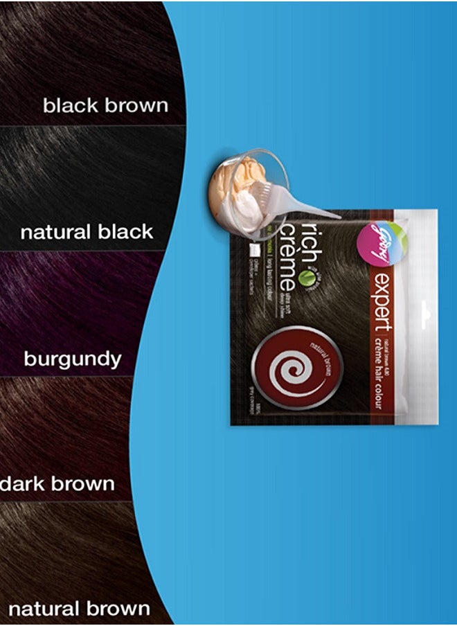 Godrej - Expert Rich Creme Hair Color Burgundy 4.16 - Image 1