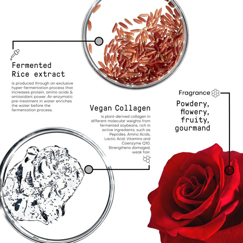 FRAMESI Morphosis Restructure Hair Beauty Elixir 5.1 fl oz, 5-Minute Weightless Mask, Repairing Conditioner, Natural Ingredients, Color Safe - Image 3