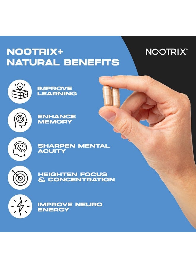 Nootrix مكمل نوتريكس براين بلس المعزز للذاكرة | يدعم الذاكرة والتركيز العقلي وصحة الدماغ والطاقة | يعزز المزاج الصحي ووظيفة الدماغ | فيتامين ب1، فيتامين ب6 وفيتامين ب12 | 30 كبسولة - Image 5