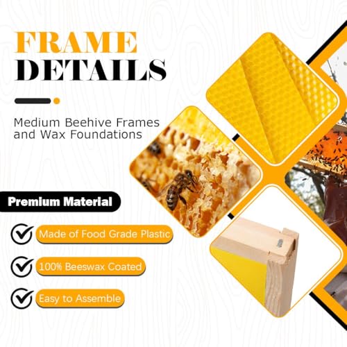 BeeCastle Medium Beehive Frames and Wax Foundations,10 Pack Honey Bee Frames with Wooden Bee Hive Frames and 100% Beeswax Coated Foundations, 6-1/4-Inch (Yellow) - Image 2
