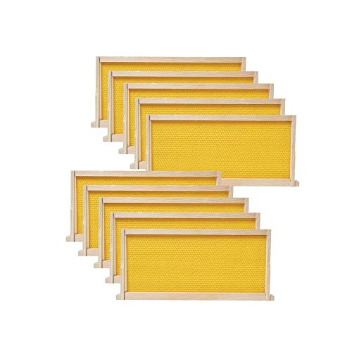BeeCastle Medium Beehive Frames and Wax Foundations,10 Pack Honey Bee Frames with Wooden Bee Hive Frames and 100% Beeswax Coated Foundations, 6-1/4-Inch (Yellow) - Image 1