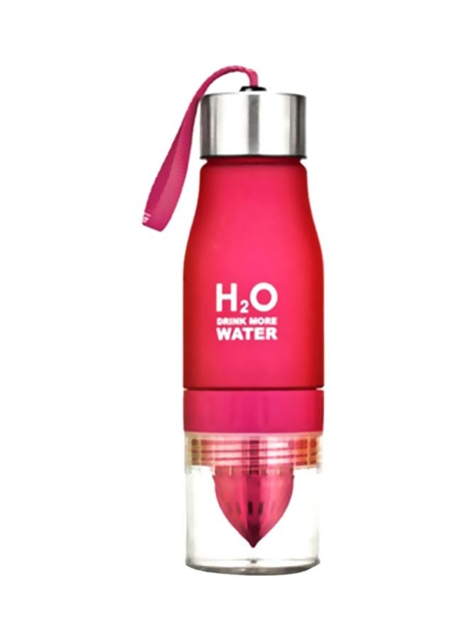 NIBEMINENT Transhome Creative Fruit Infuser Pink/White/Silver 26.67x8.13x7.87cm