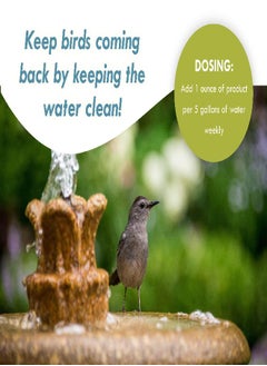 Sanco Industries Bird Bath & Fountain Maintenance - (8 Ounces) - Safe Fast-Acting Enzyme-Based Formula Will Extend The Life of Your Water Feature, Aid in Maintaining a Balanced Ecosystem  - Image 2
