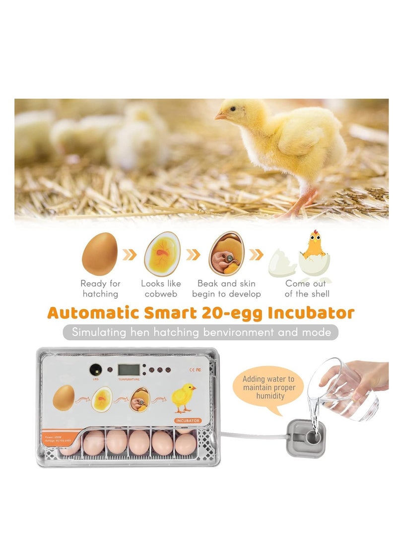 Generic Goreem Digital Egg Incubator 20 Eggs Poultry Hatcher with Auto Egg Turning Temperature Control LED Light Temperature Humidity Alarm Incubator for Chicken Ducks Bds Eggs  - Image 2