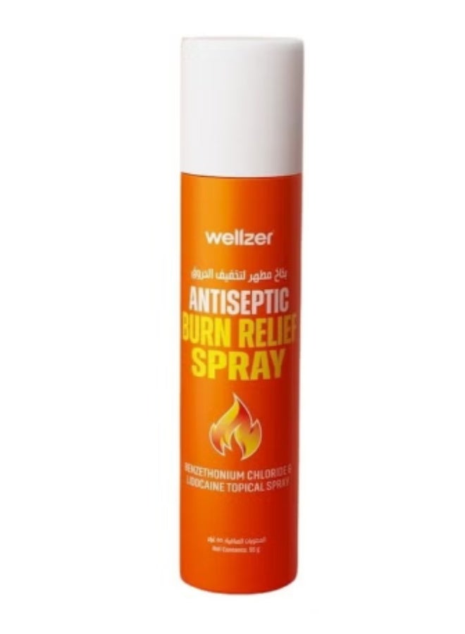 Antiseptic Burn Relief Spray 55 g