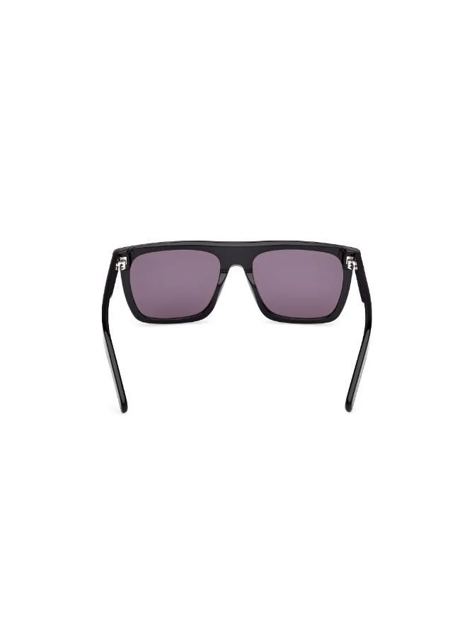اديداس wayfarers sunglasses