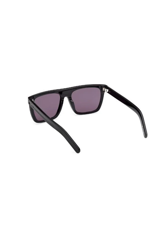 Adidas  wayfarers sunglasses  | Best Price UAE
