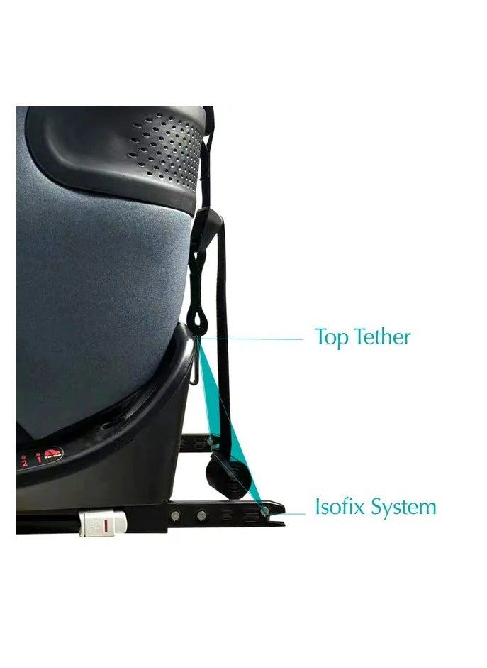 Bumble & Bird All In One Isofix Car Seat - Grey  - Image 2