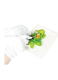 Slimy Slimy Dissect-It STEM Toy Mega Lab Frog & Piranha Edition with Magnifying Glass + 2 Refill Packs Science Experiment Kit, DIY Learning & Exploration Gift Set for Little Scientists Ages 6+ Years  - Image 2