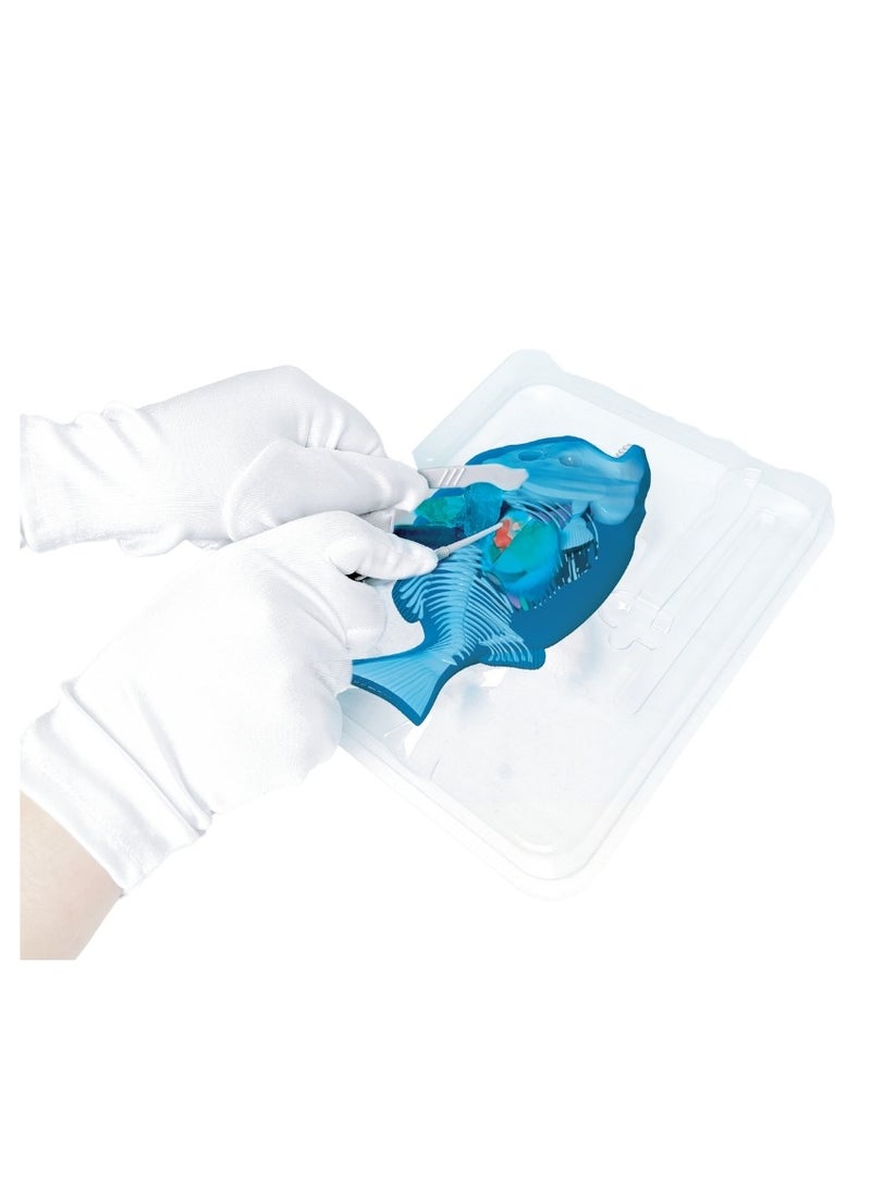 Slimy Dissect-It STEM Toy Mega Lab Frog & Piranha Edition with Magnifying Glass + 2 Refill Packs Science Experiment Kit, DIY Learning & Exploration Gift Set for Little Scientists Ages 6+ Years